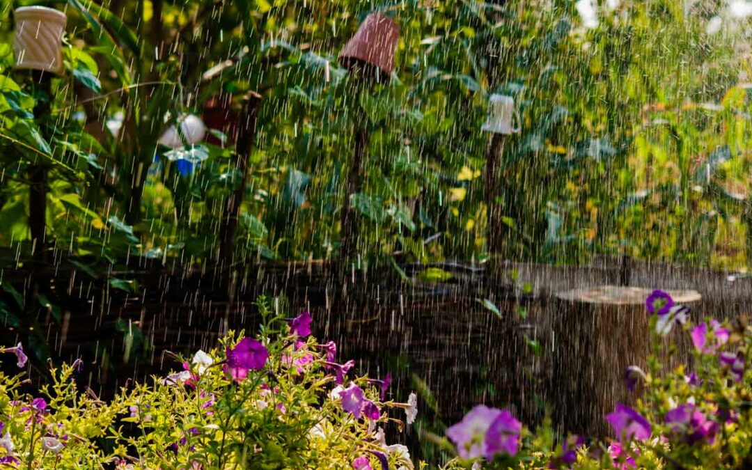 L’implantation d’une cuve de récupération d’eau de pluie : est-ce adapté à tous les jardins ?