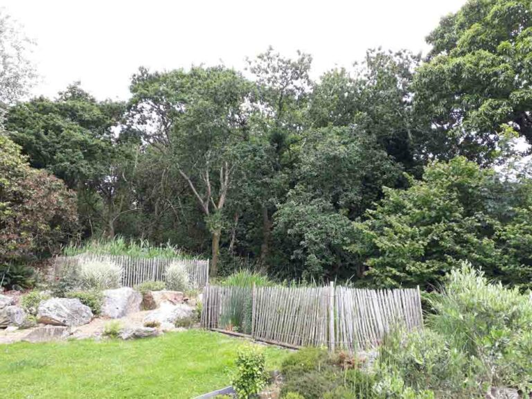 biodiversite ar bradenn phytoepuration piscine finistere bretagne