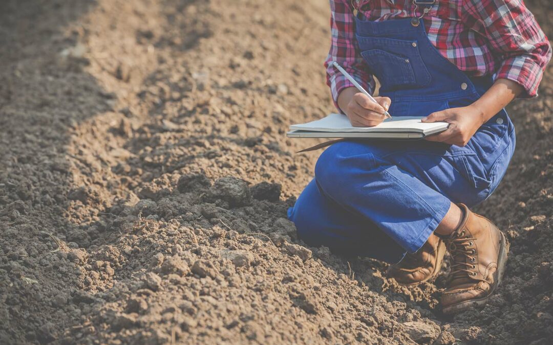 L’importance de l’étude de sol dans un projet de phytoépuration