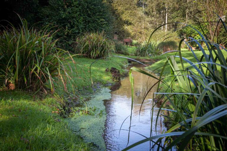 jardin de pluie ar bradenn phytoepuration piscine finistere bretagne